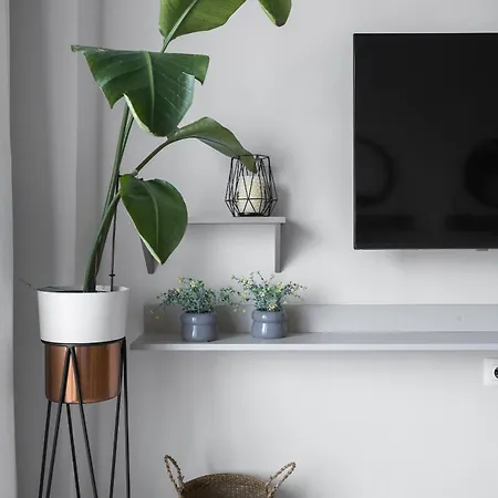 Damon's - 2 Bedrooms Apartmán Soluň